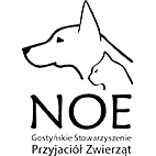 logo_noe3